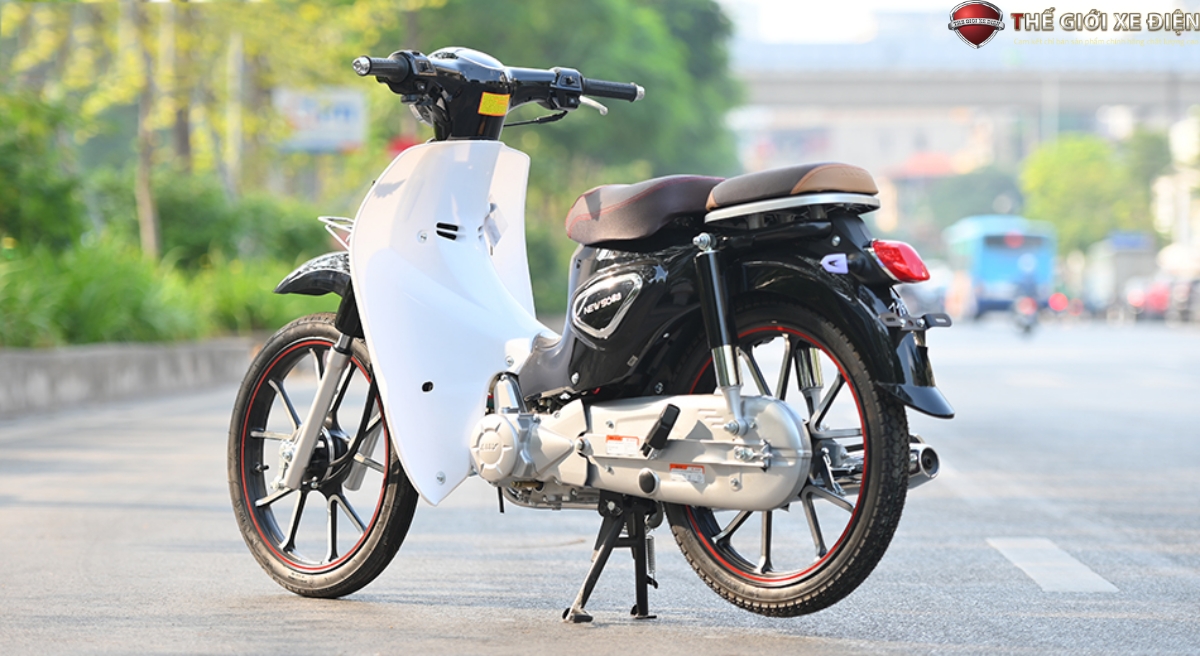 Xe Máy 50cc Cub New Vigor Ally 50SE Vành Đúc