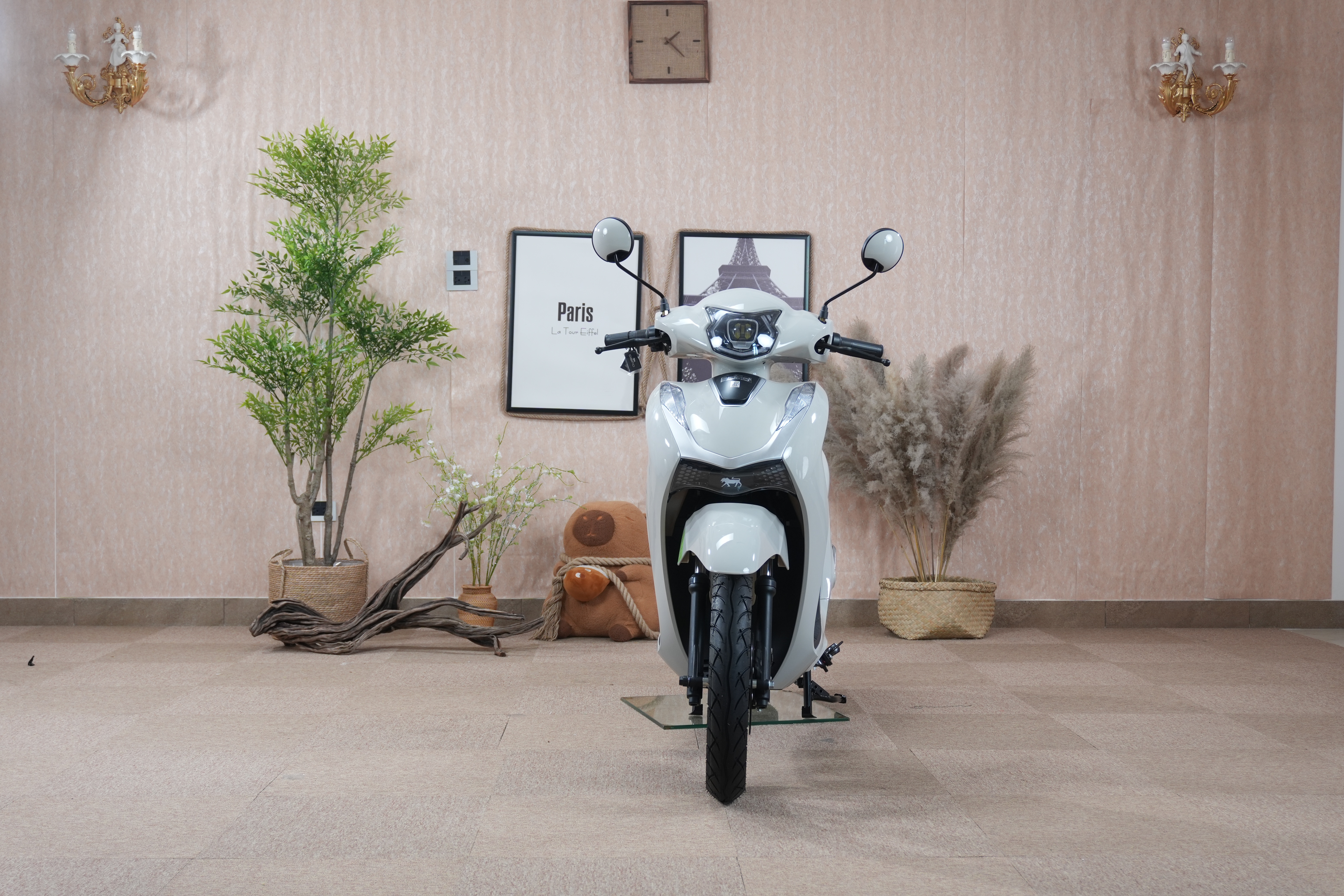 Dibao Shine Chiếc xe điện quốc d&acirc;n chinh phục người d&ugrave;ng bằng gi&aacute; trị thực