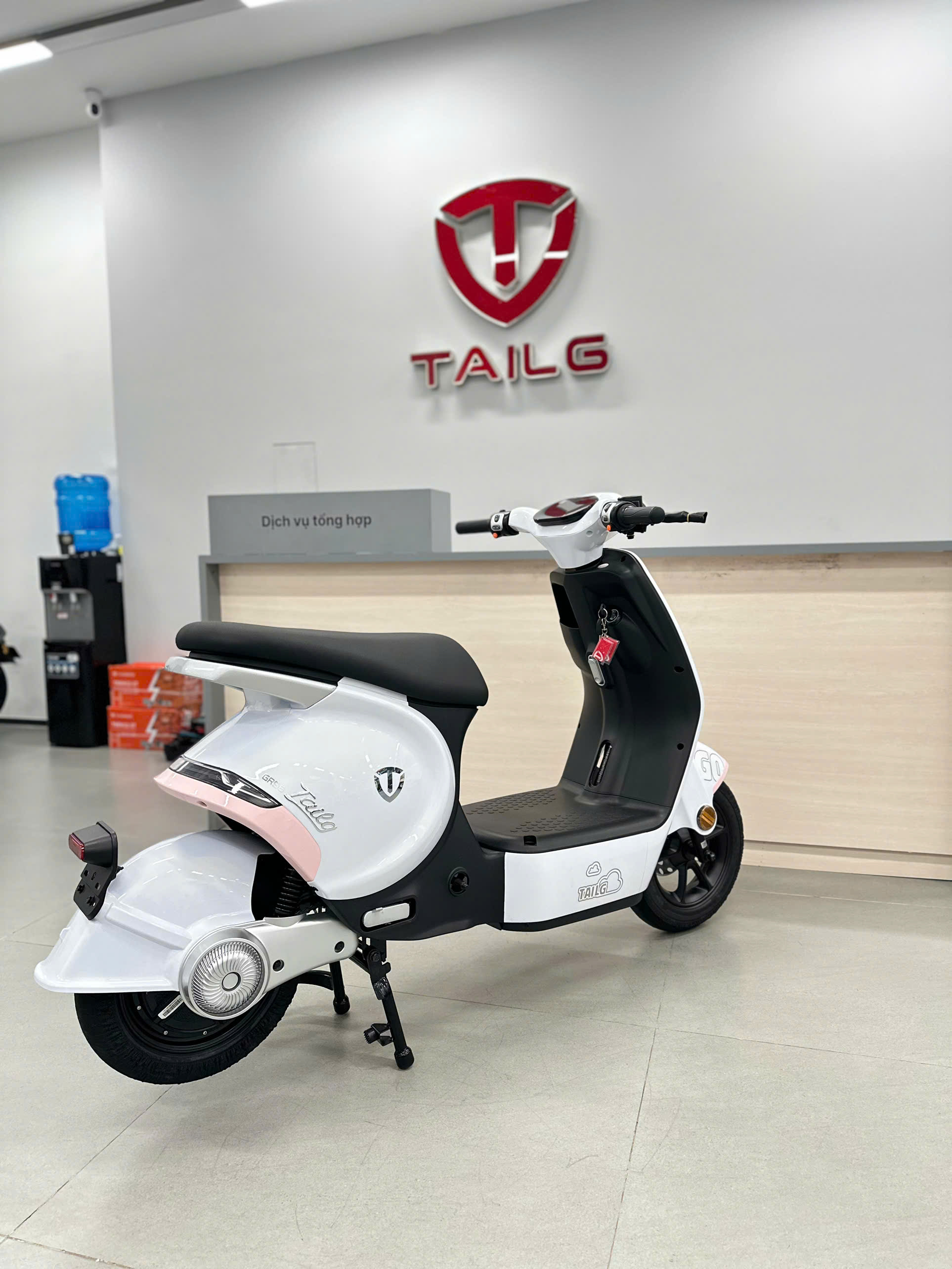 C&aacute;ch Sử Dụng Xe Điện Hot Trend TAILG GR56 Từ A Đến Z Cho Người Mới Mua Xe