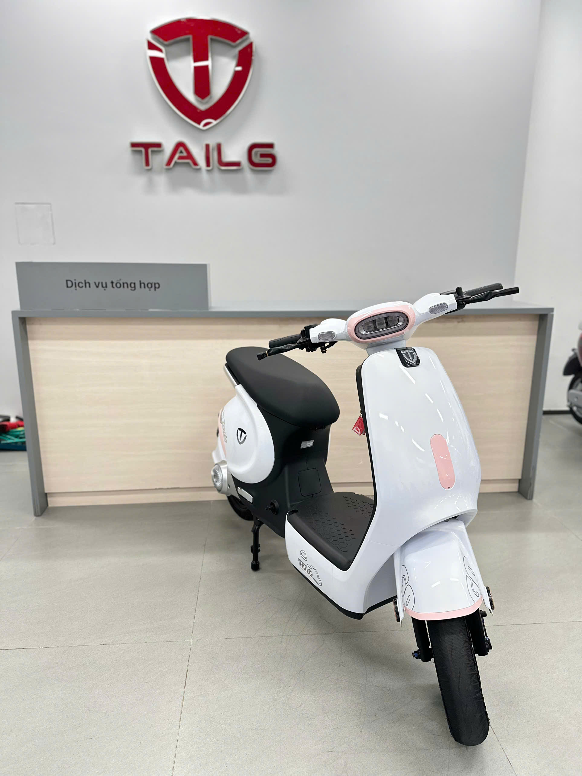 C&aacute;ch Sử Dụng Xe Điện Hot Trend TAILG GR56 Từ A Đến Z Cho Người Mới Mua Xe