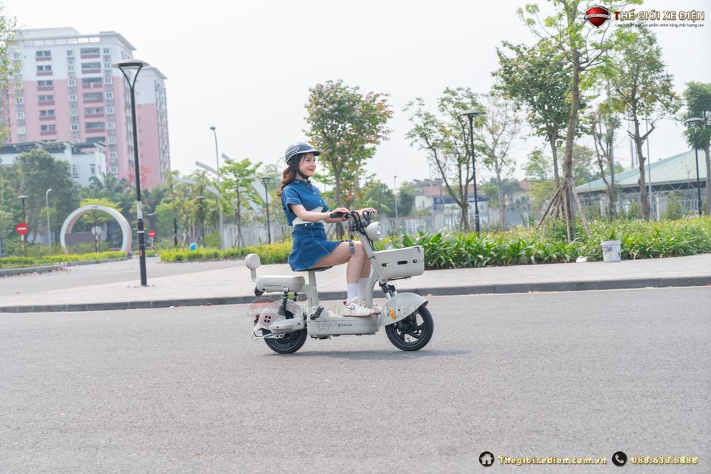 xe đạp điện an toàn nhất Tailg xe đạp điện an toàn nhất Tailg